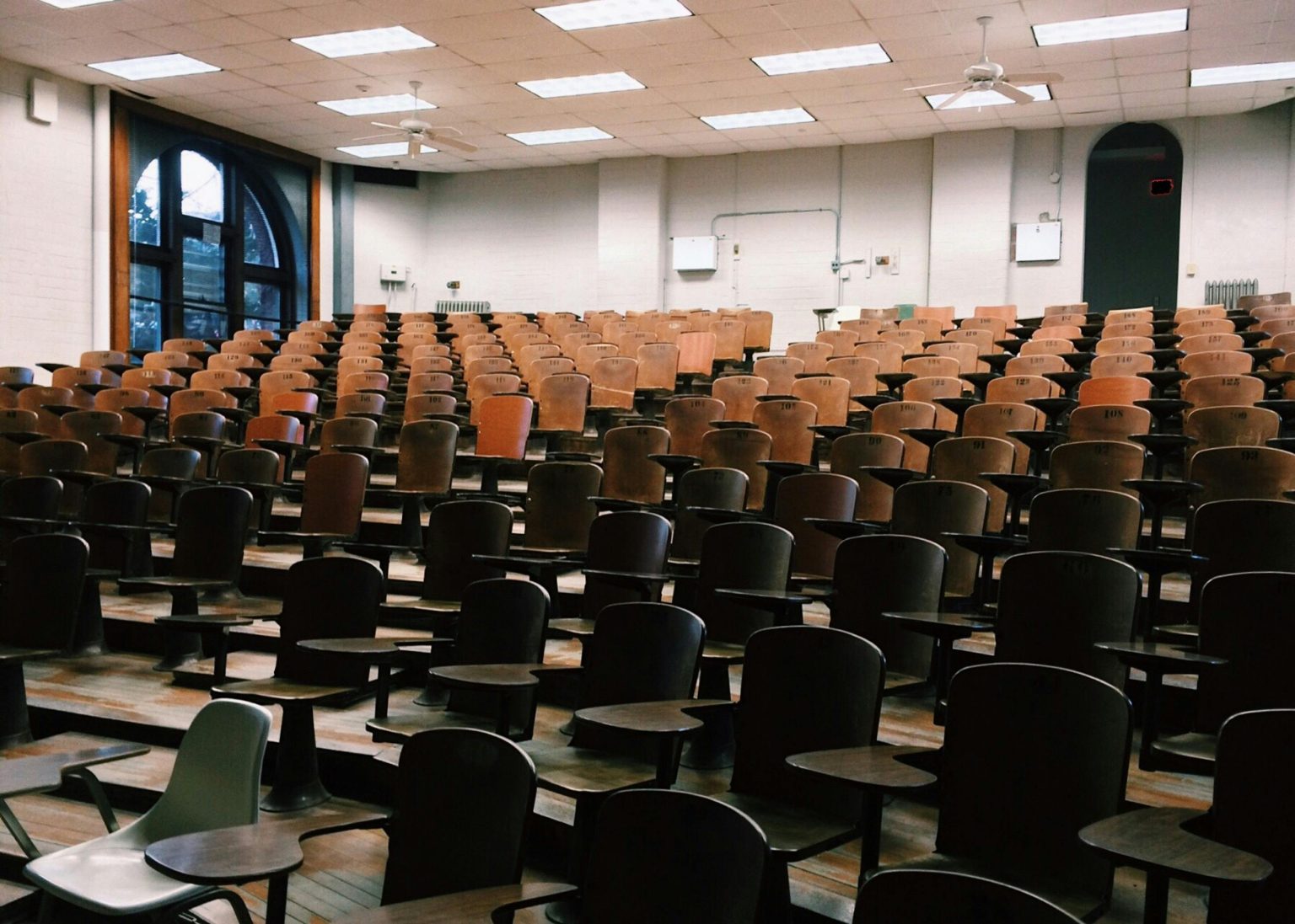 Large Universities vs. Small Colleges: What Size is Best for You ...